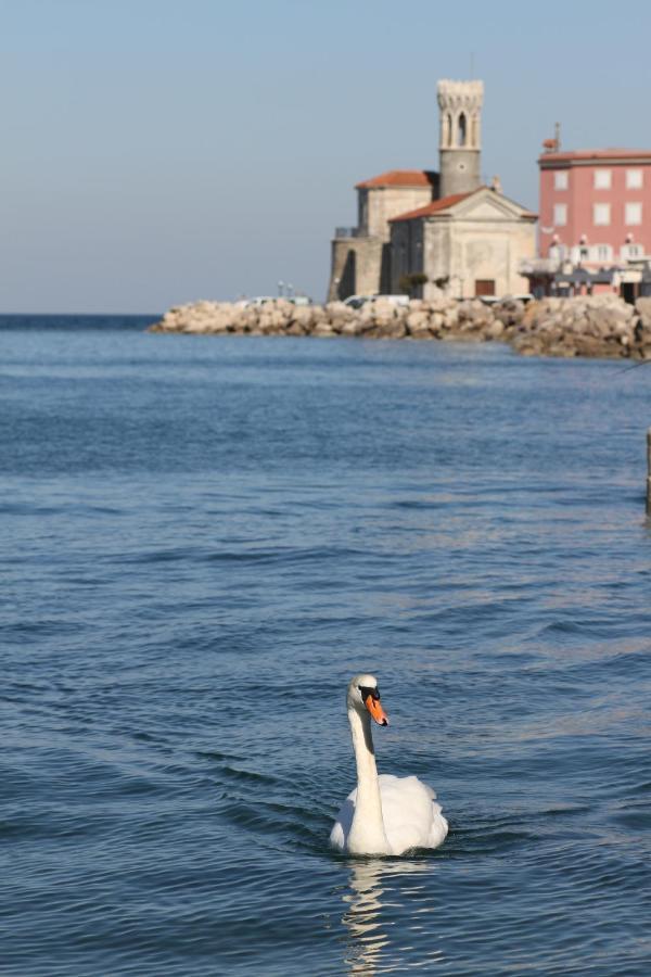 Sal & Mar Apartments Piran Exterior photo